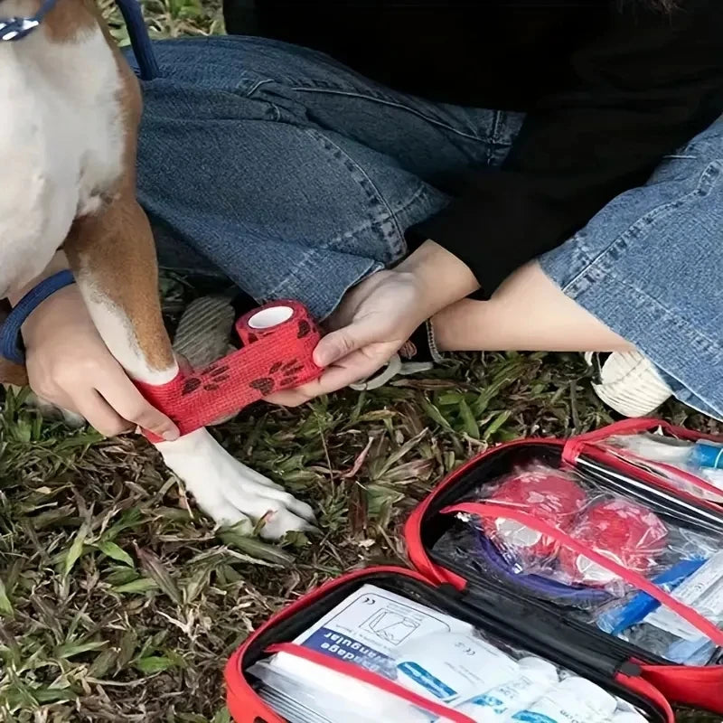 Kit compacto de primeiros socorros para animais de estimação para cães e gatos - suprimentos de emergência, camping e mochilas
