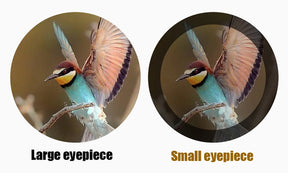 20x25 binóculos profissional hd bolso à prova dwaterproof água acampamento observação telescópio óptico portátil ao ar livre para caça